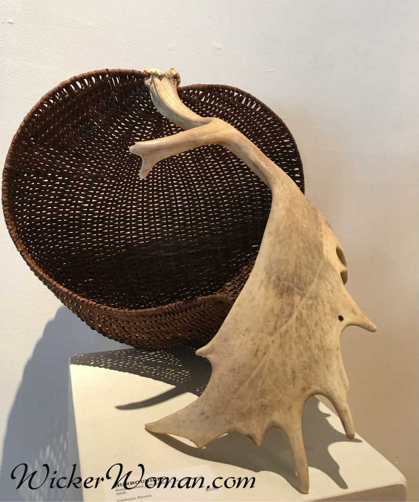 "Surrounding Love" Fallow Deer Antler Basket Sculpture by Cathryn Peters