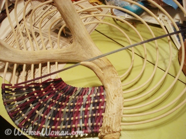 Ribs in place on antler basket sculpture and weaving is beginning.